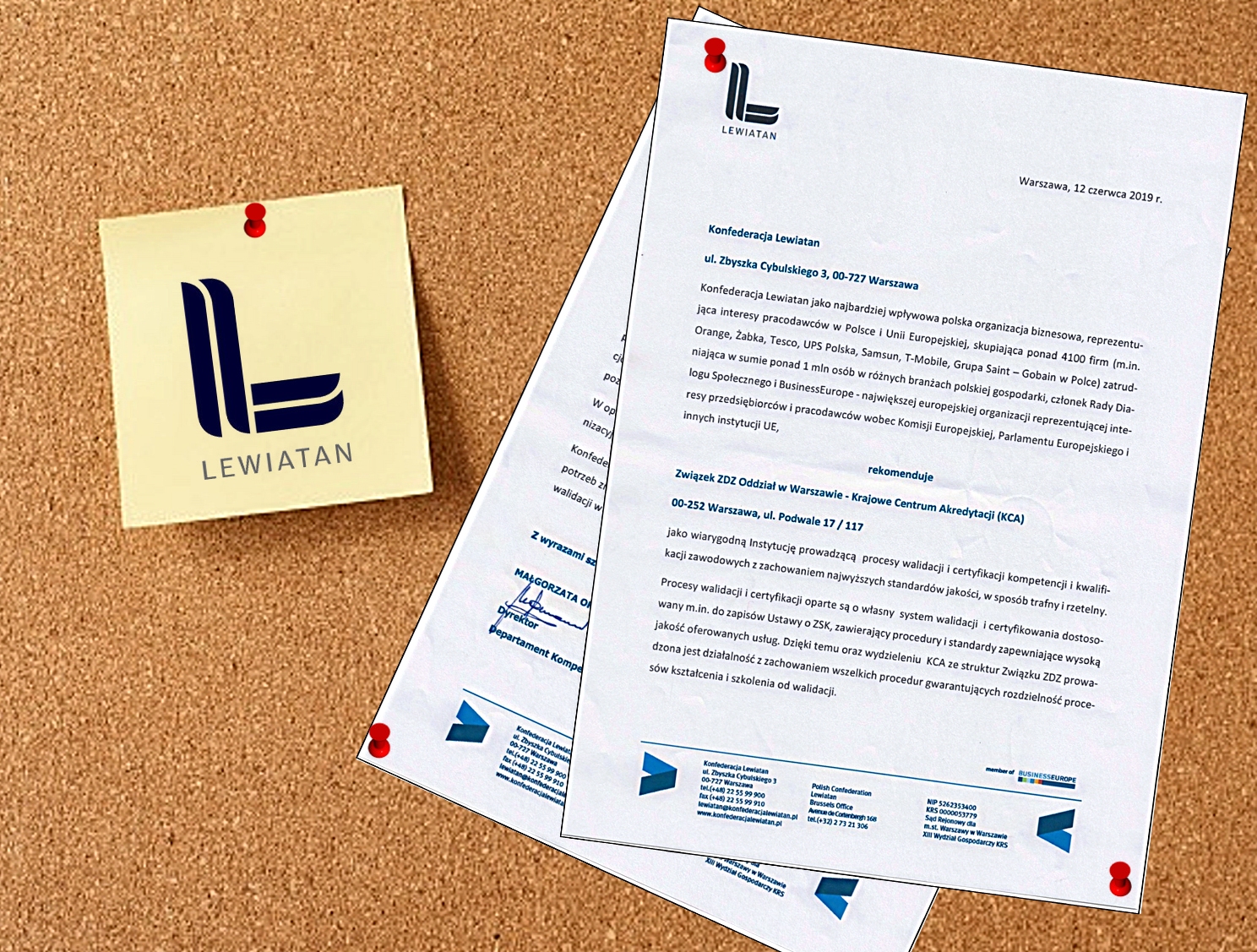 promo-LEW-rekomendacjaKCA